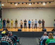 Formação CCMs