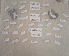 janeiro_branco